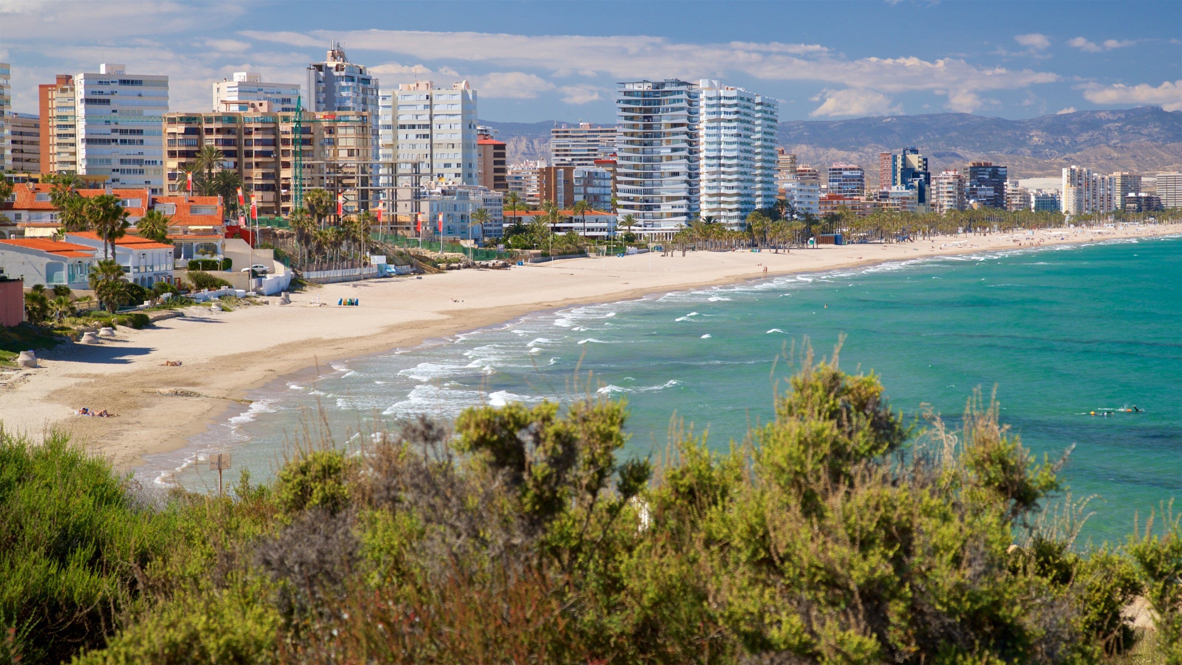 Le quartier de Cabo de las Huertas à Alicante