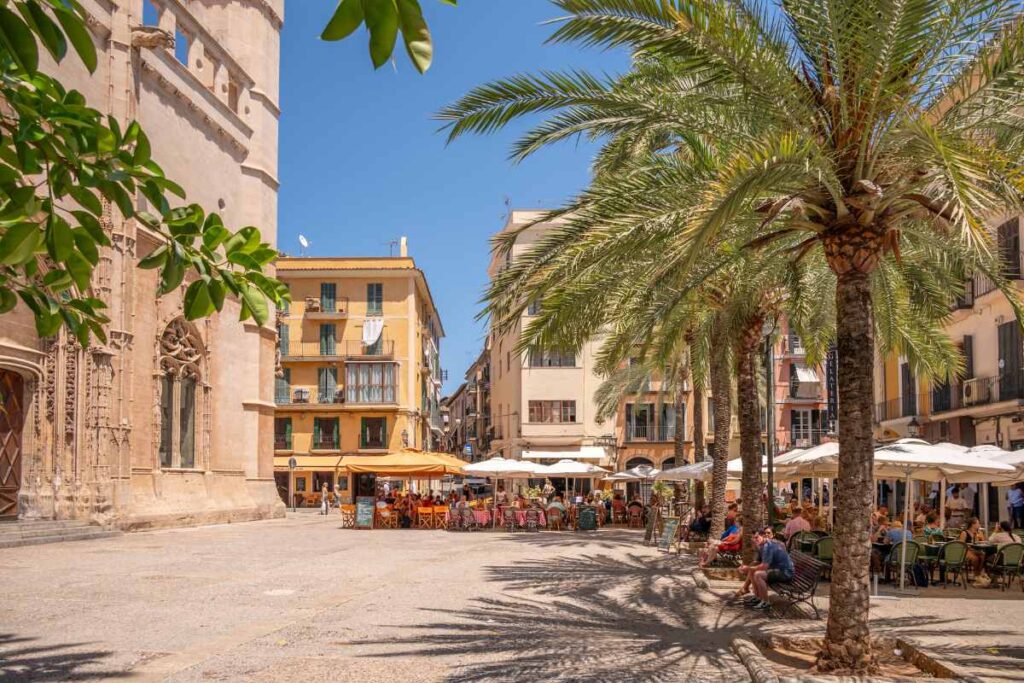 Le quartier de Casco Antiguo à Palma de Majorque