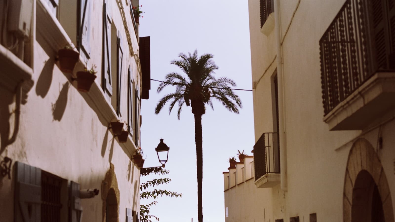 Barcelone : pourquoi la tension monte entre habitants et expatriés